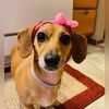 anniegirl1535